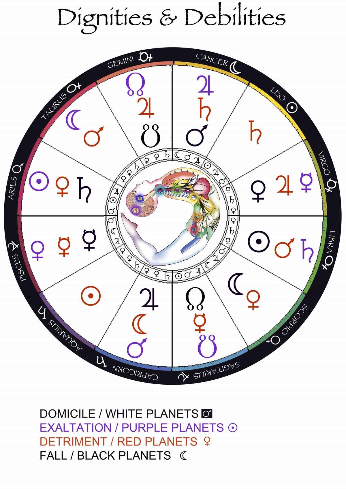 Essential Dignities & Debilities Digital Chart